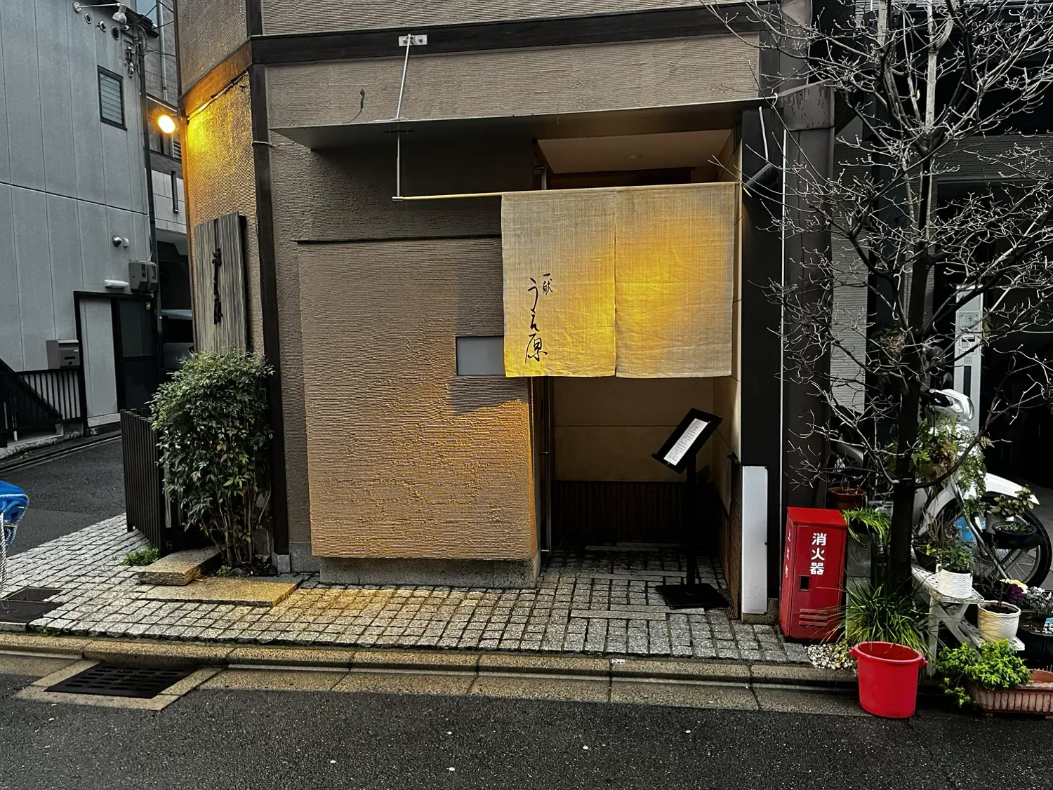 Ikkon Uehara — photo 37