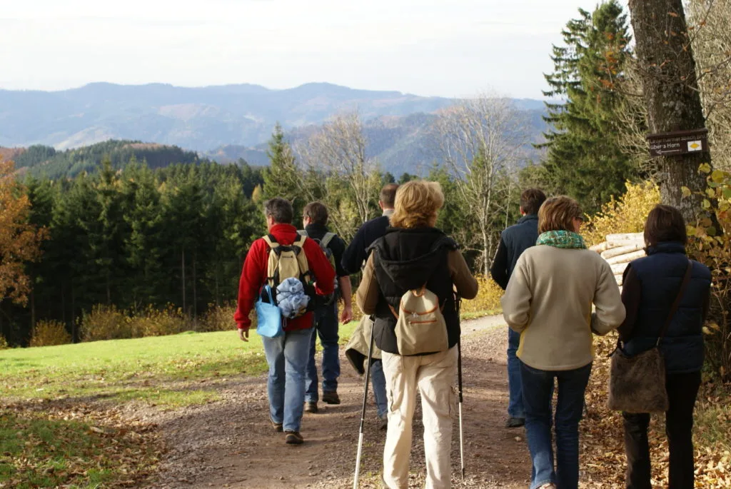 Gasthaus zum Pflug — photo 19