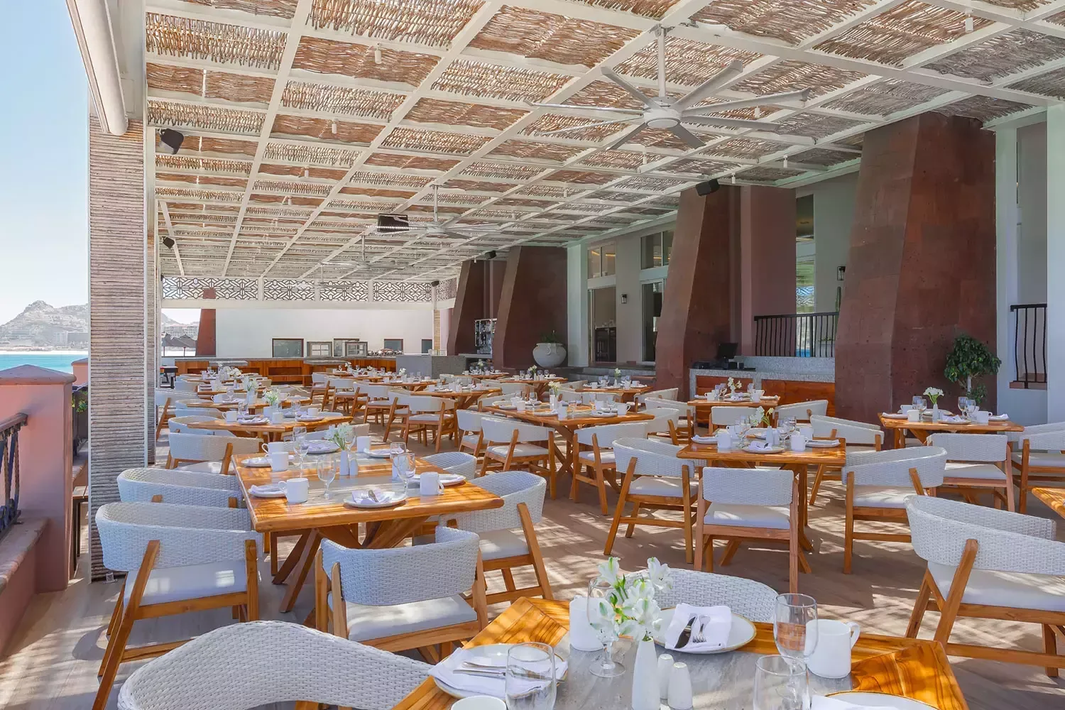 El Patrón — photo 11