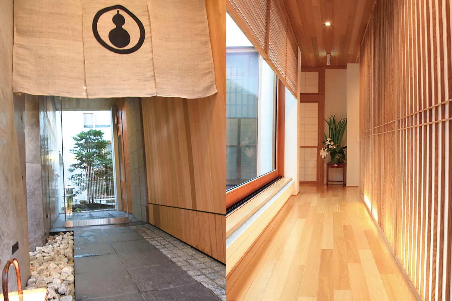 Nukumi — photo 8