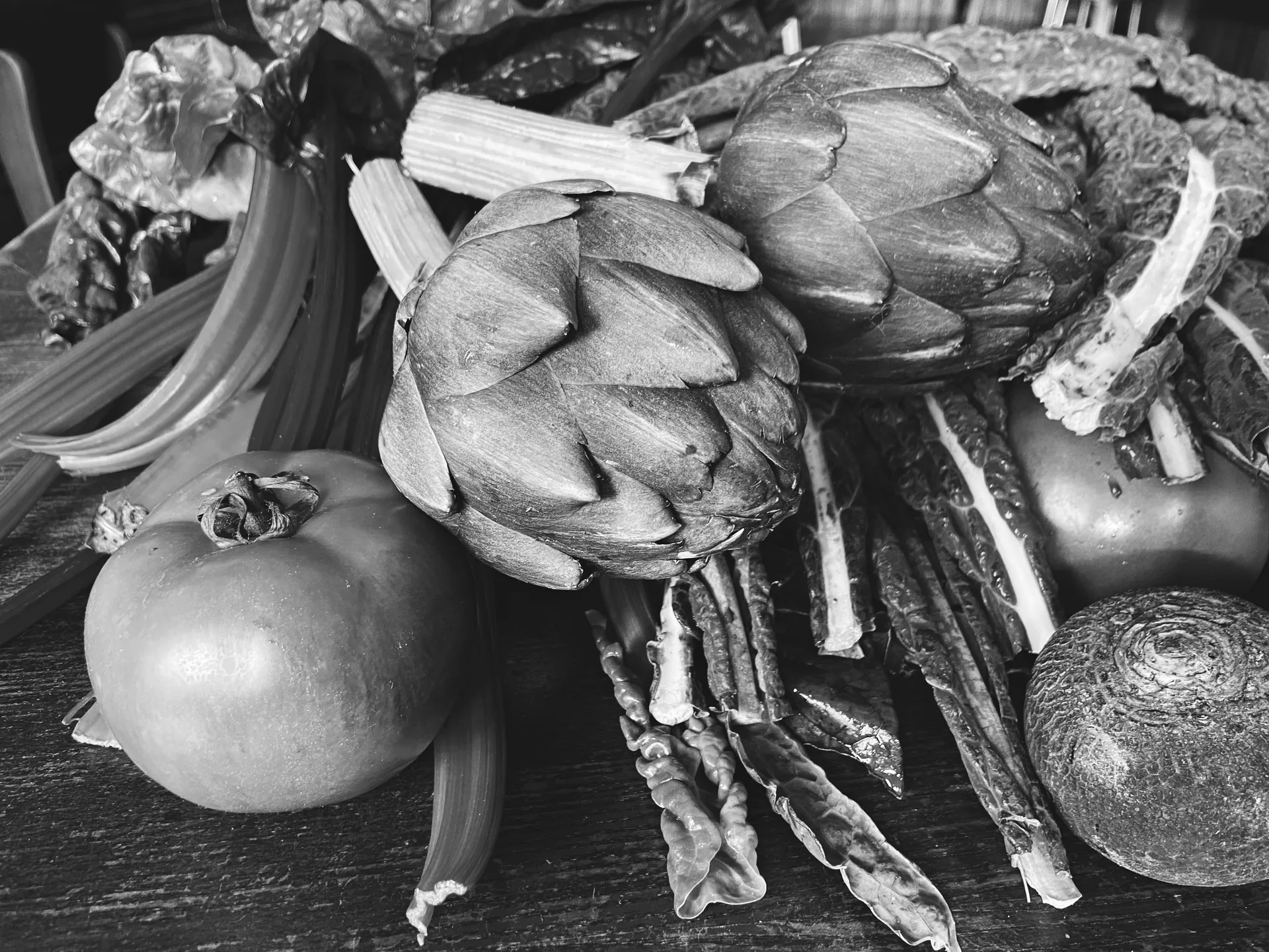 Sepia — photo 64