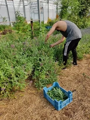 Frank — photo 15