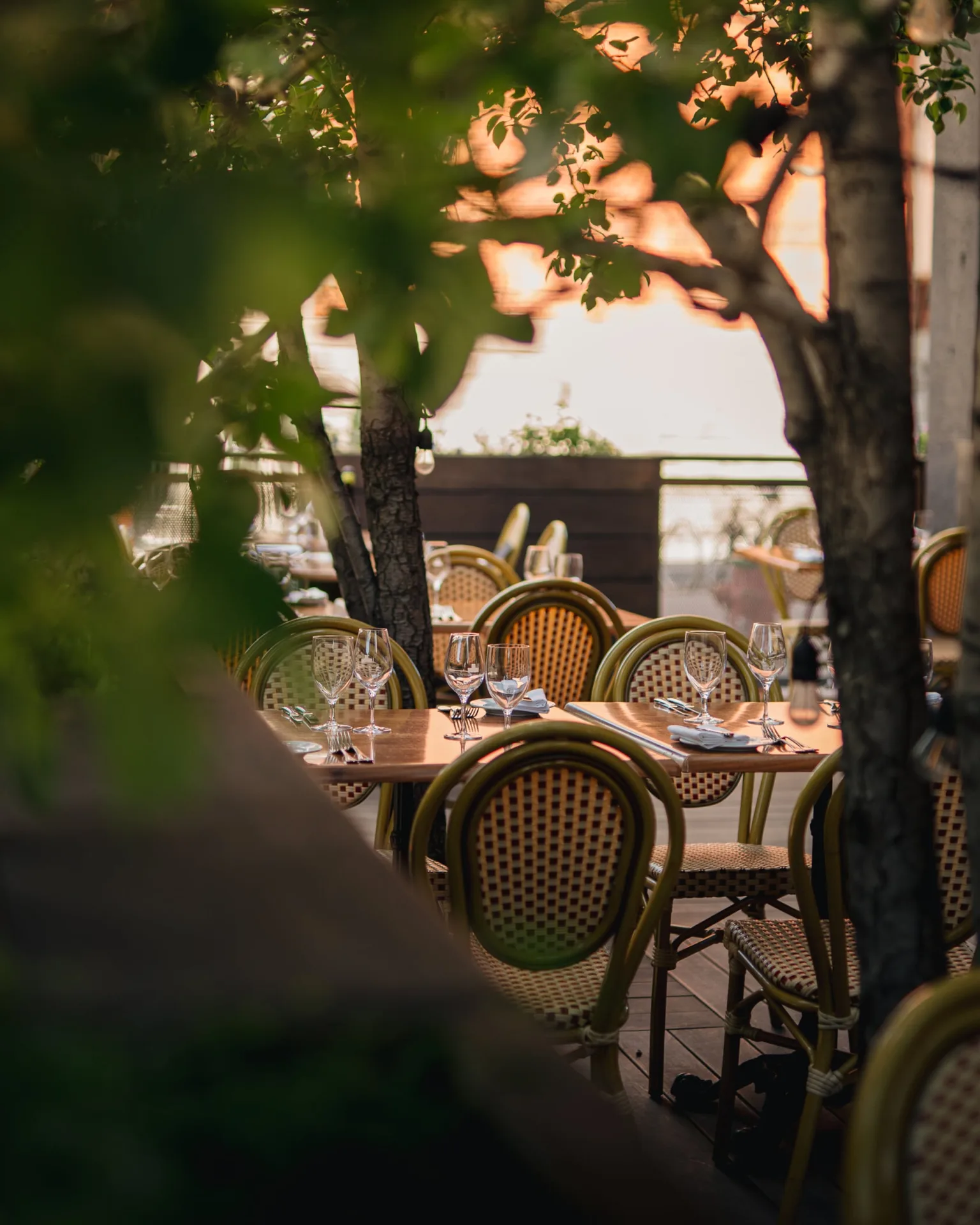 Restaurant de l'ITHQ — photo 8