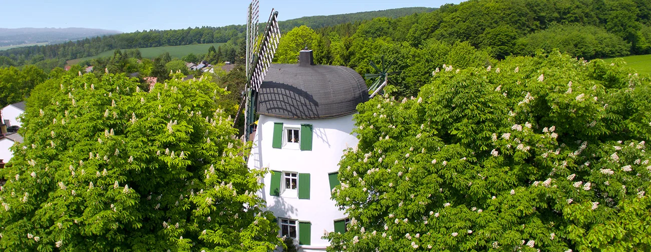 Die Windmühle Fissenknick — photo 8