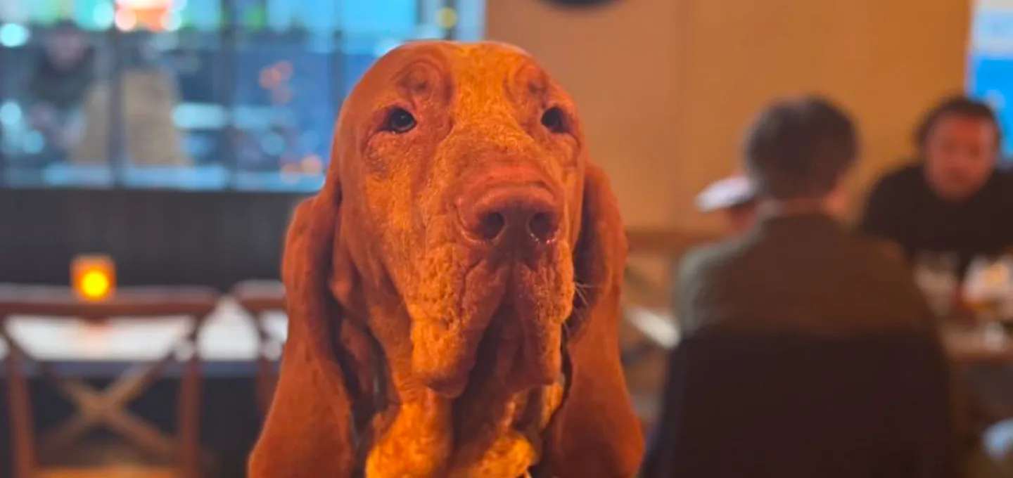 Upstairs @ The Albion — photo 74