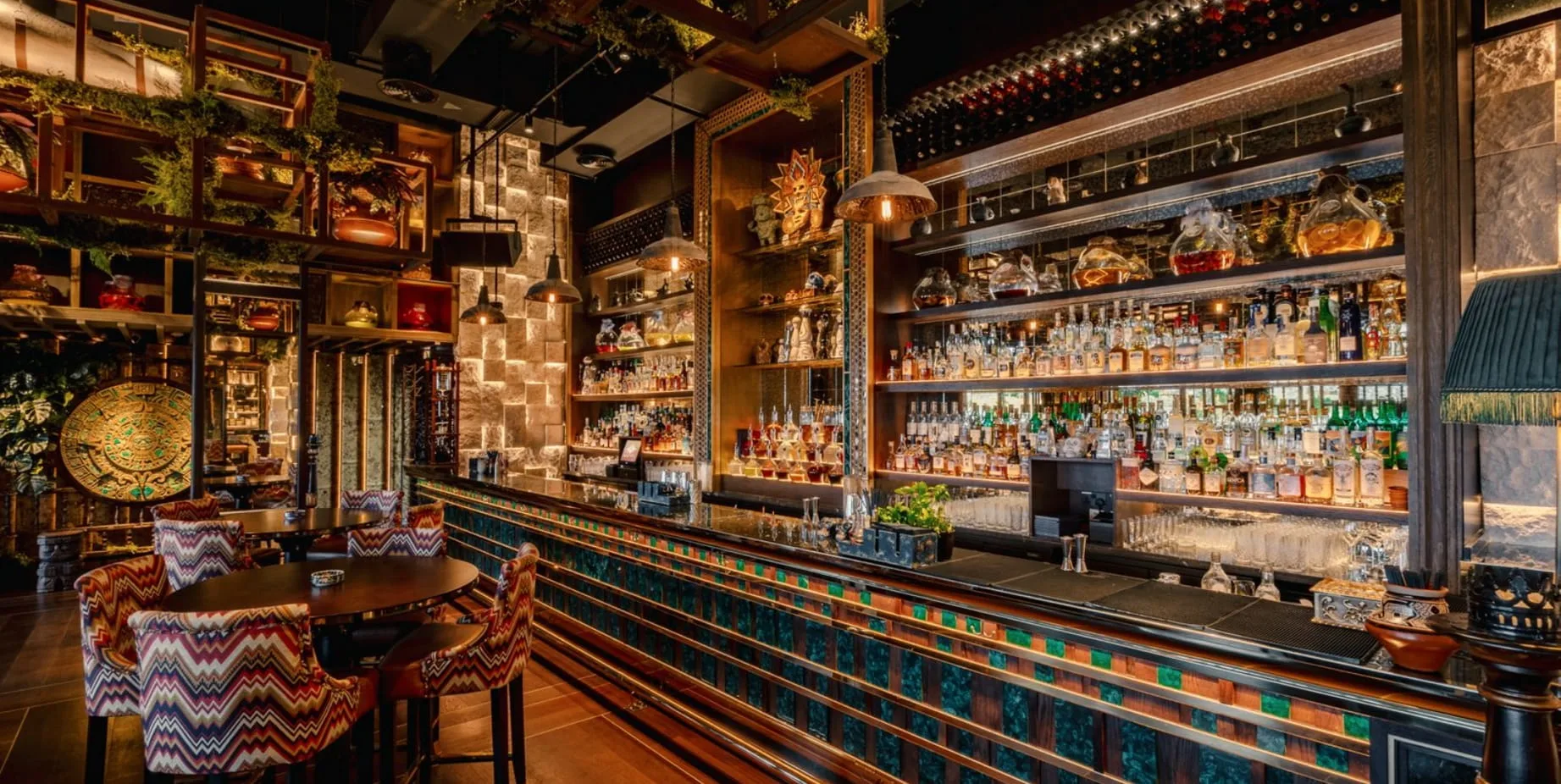 Coya — photo 11