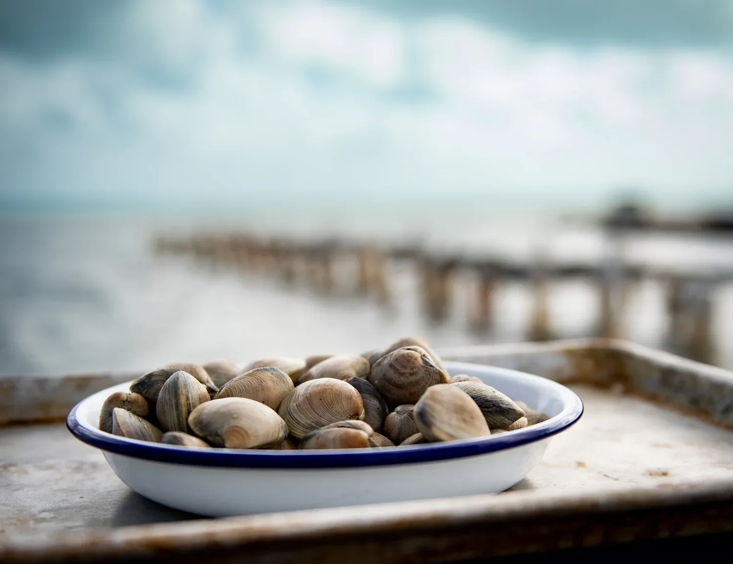 Calypso Grill — photo 7