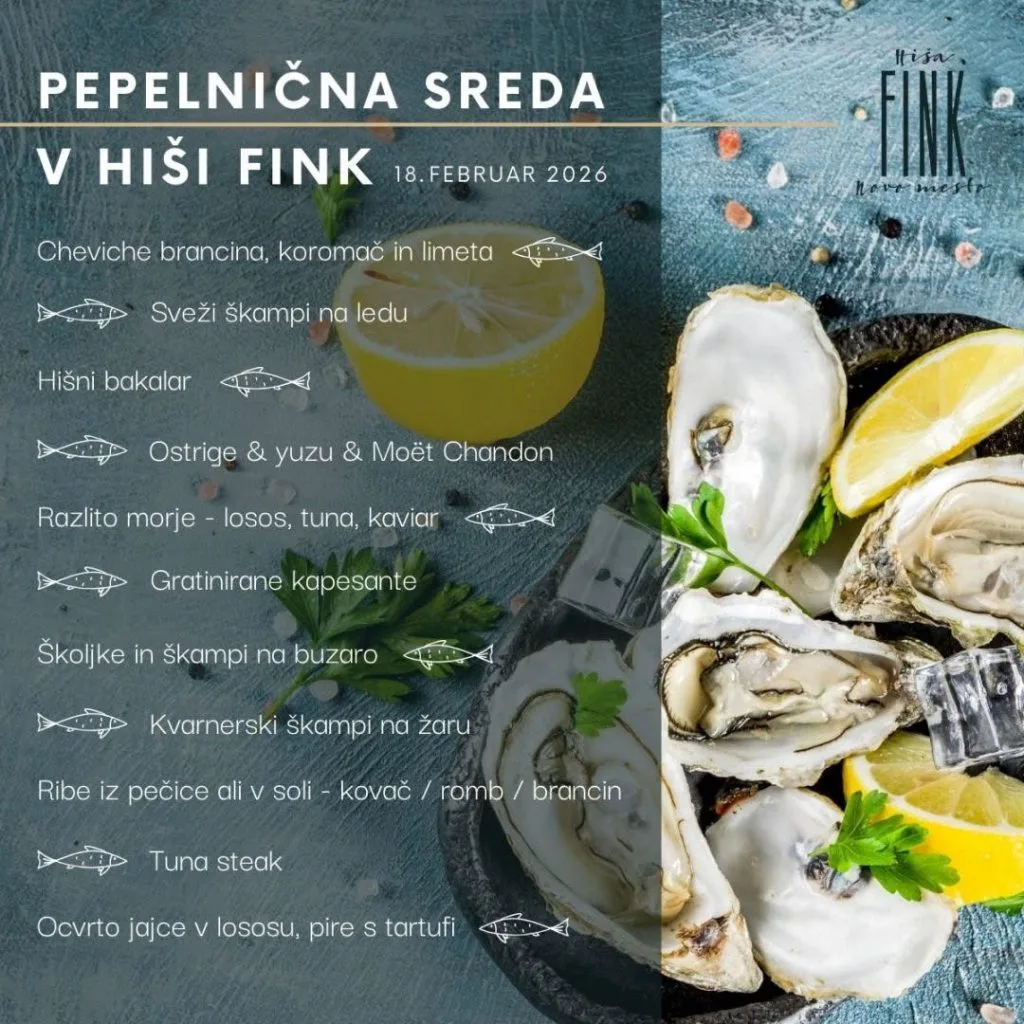 Hiša Fink — photo 82