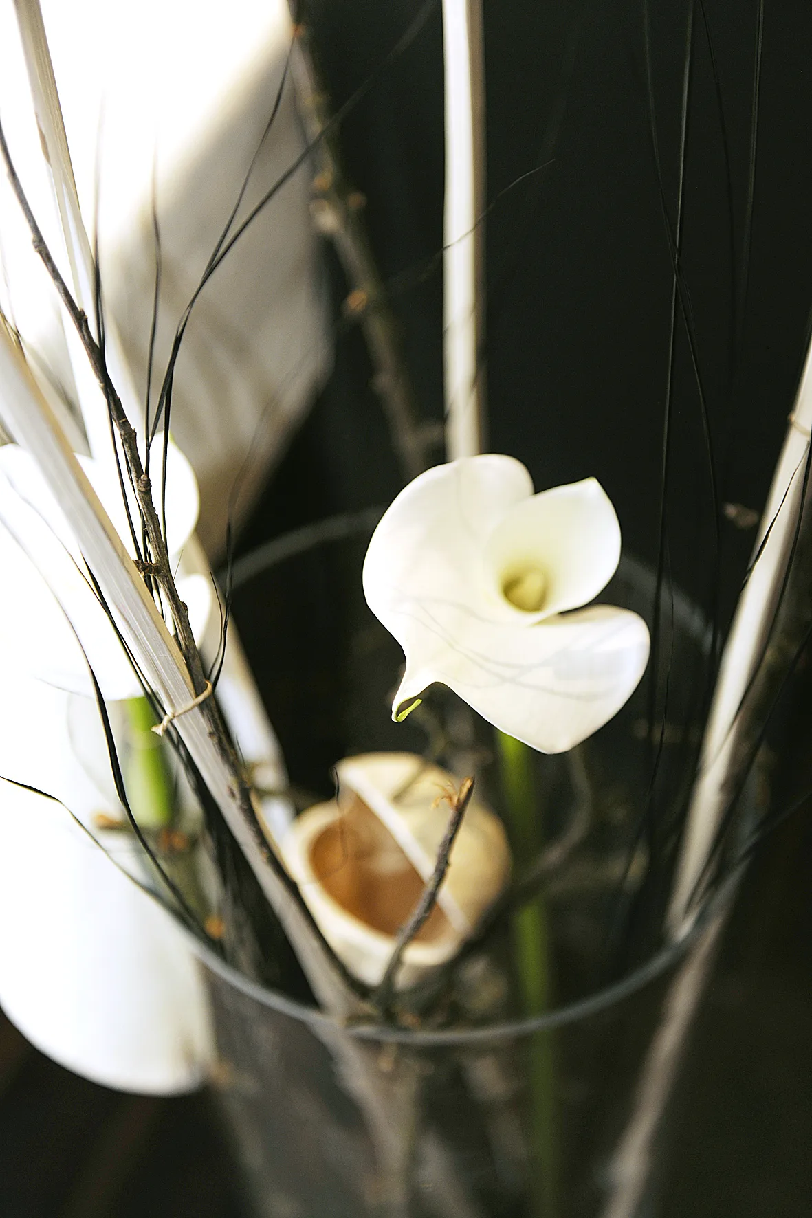 Seegarten — photo 33