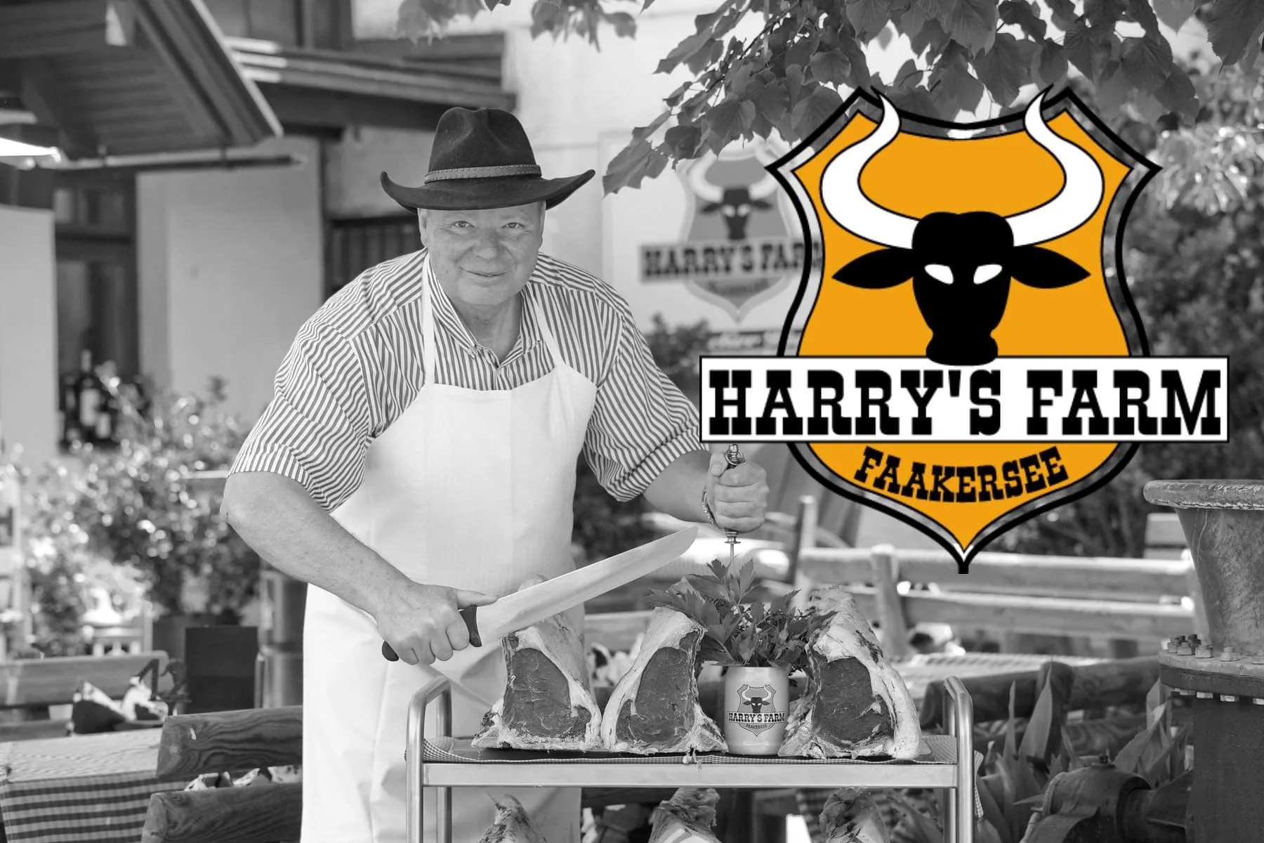 Harry's Farm — kitchen