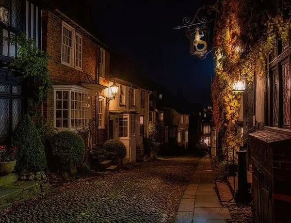 Mermaid Inn — photo 5