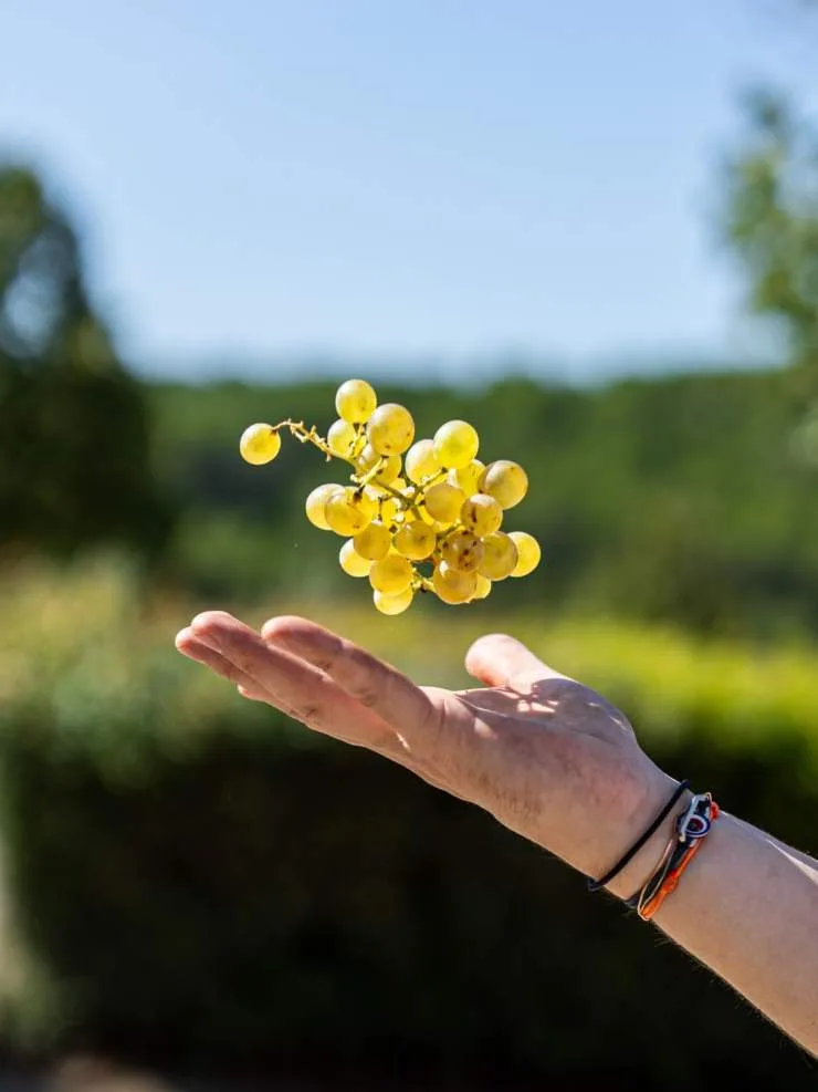La Table de Mentone — photo 10
