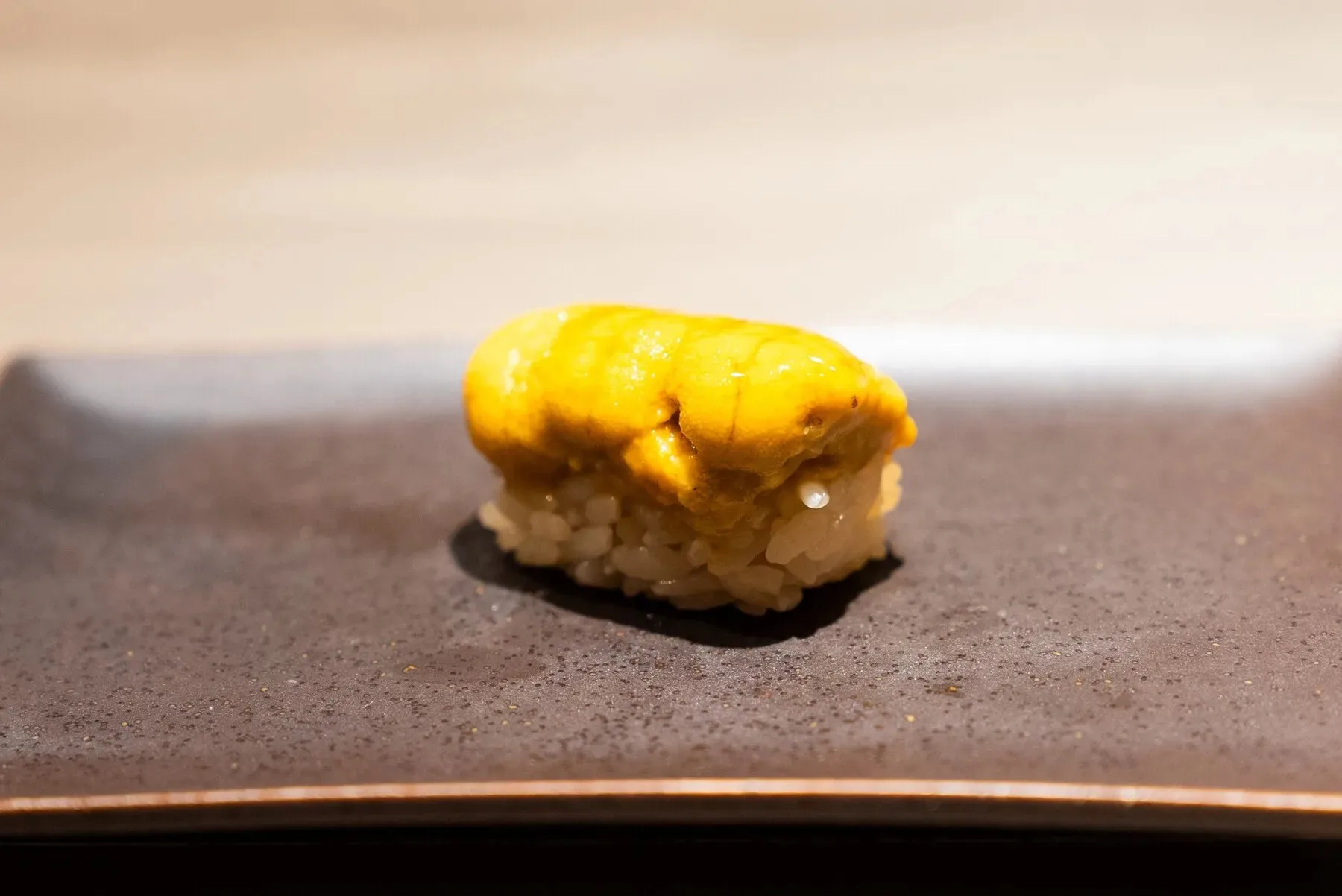 Tachiguisushi Sushikawa — photo 5