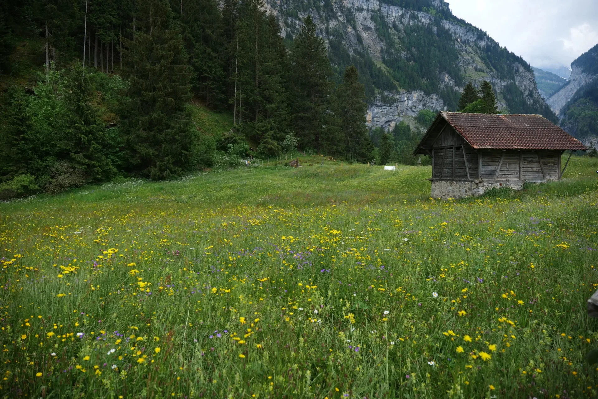 Waldhotel Doldenhorn — photo 52