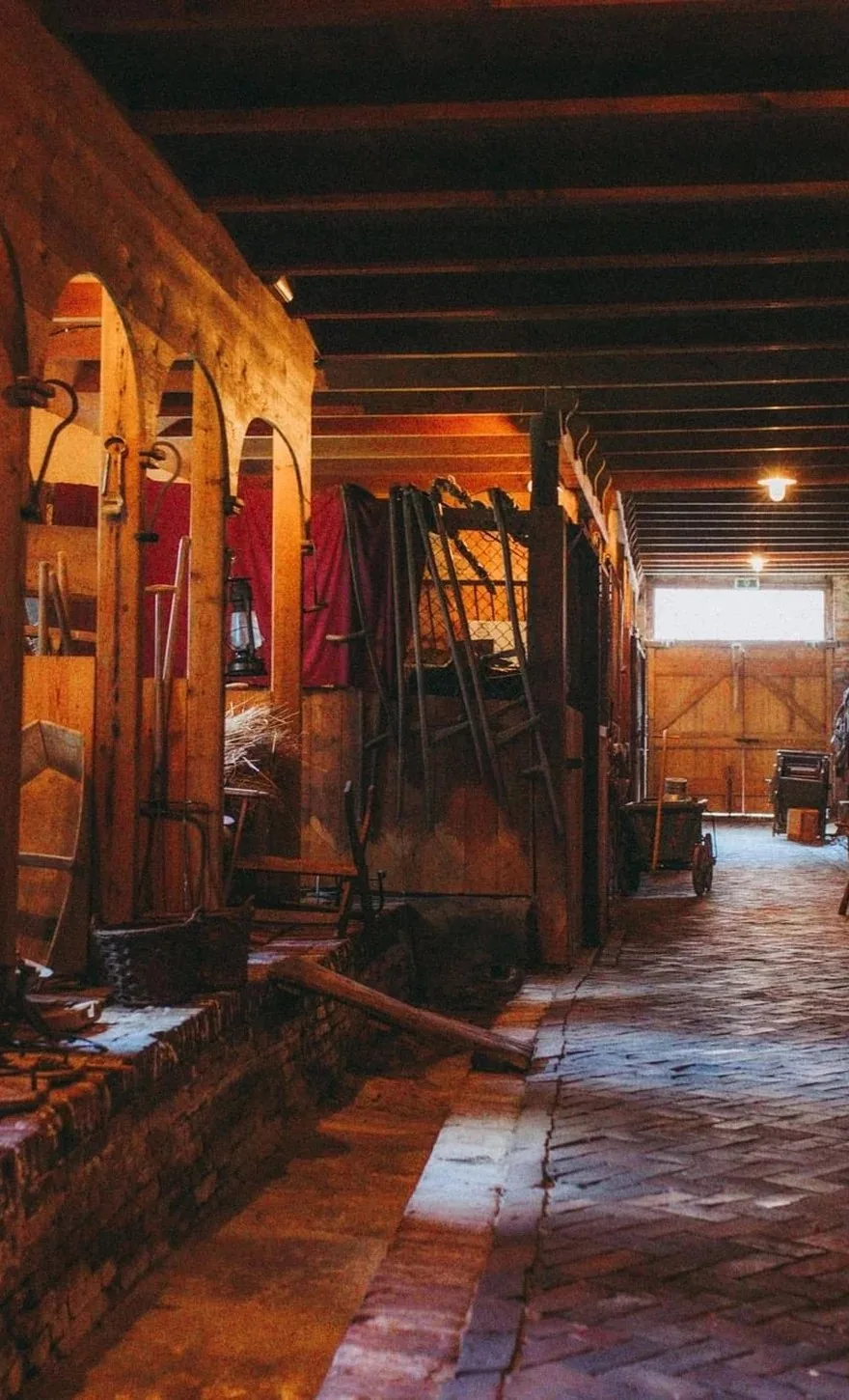 Boerderij Hermans Dijkstra — photo 37