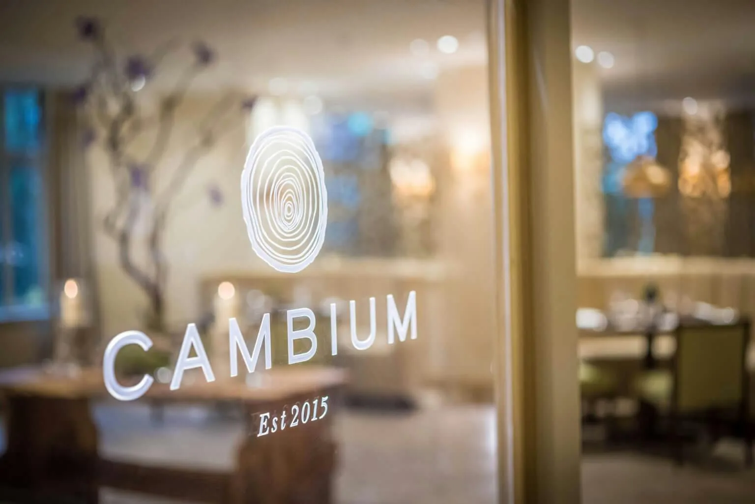 Cambium — photo 5