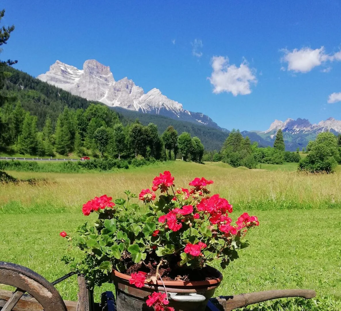 Il Capriolino, San Vito