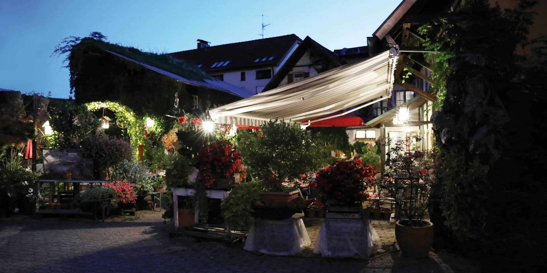Kininger’s Hirsch — photo 51