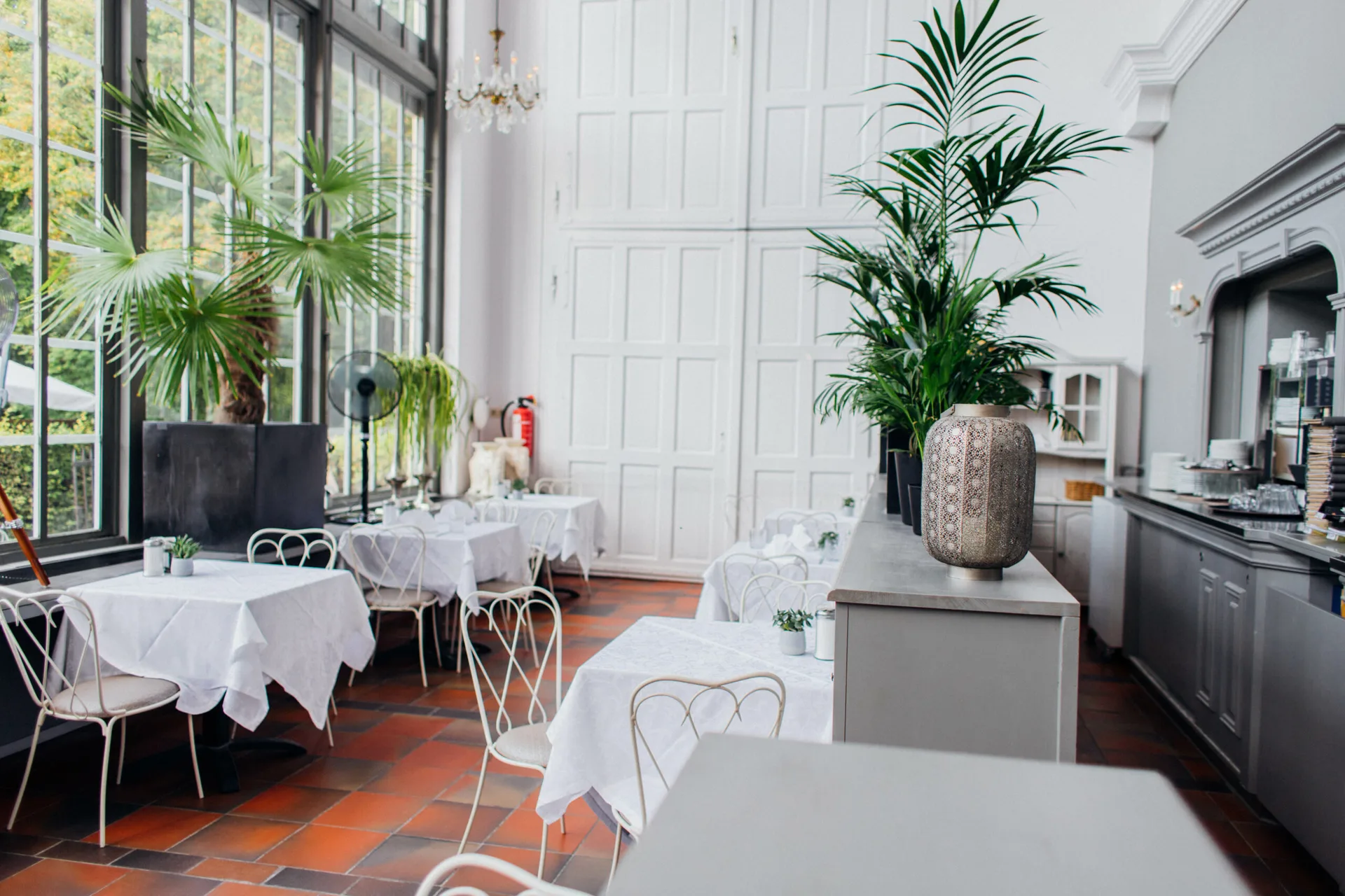 Schlosscafé im Palmenhaus — photo 100