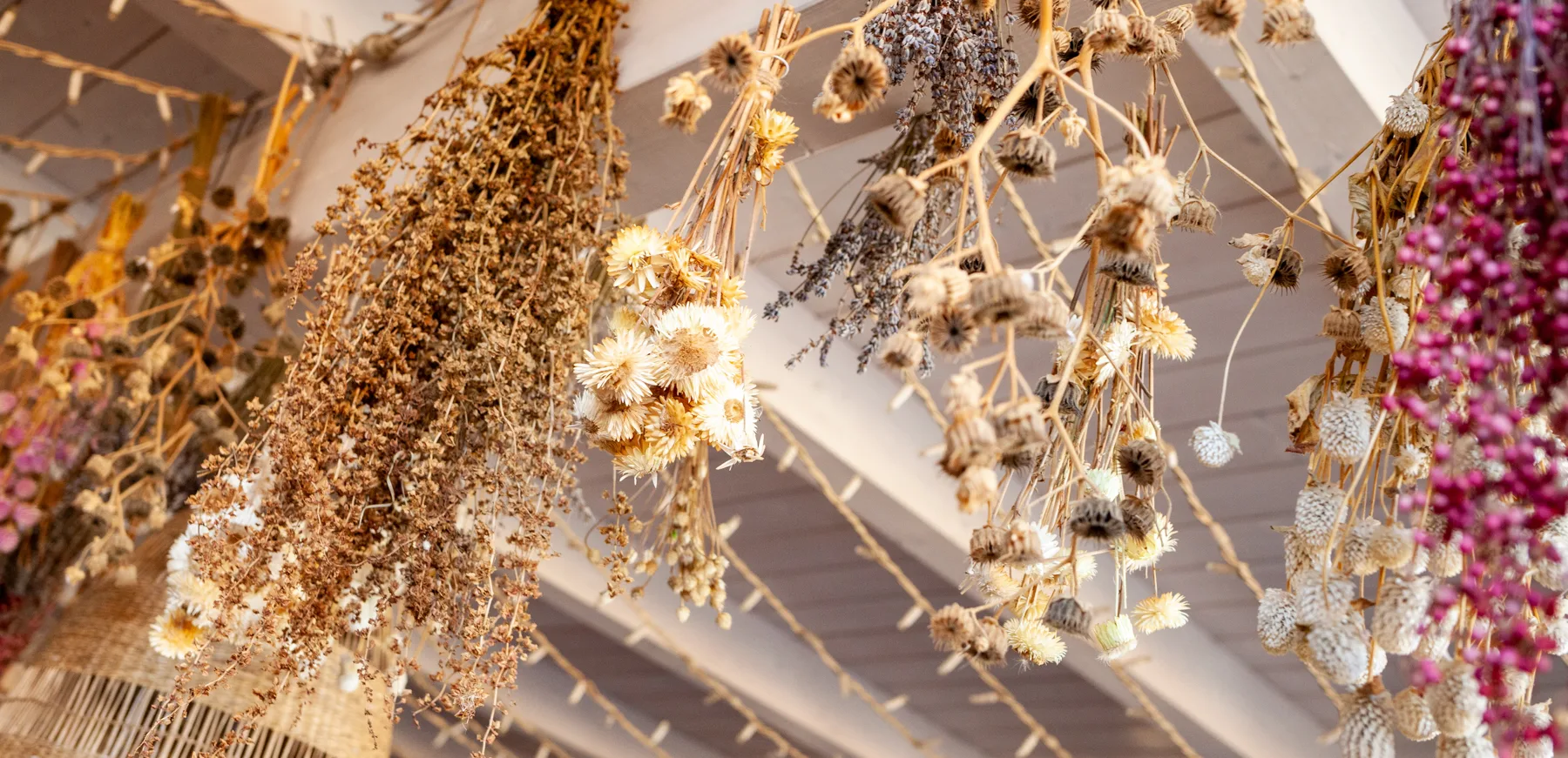 Oasis - Sapori Antichi — photo 54