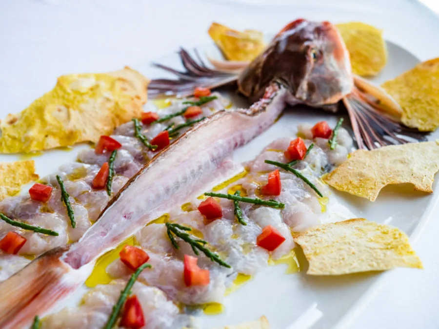 Cuoco di Bordo, Senigallia