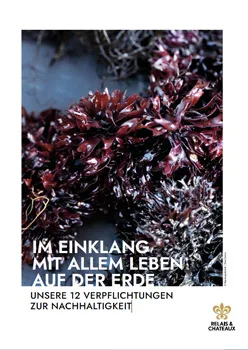Restaurant SIEBZEHN84 — food