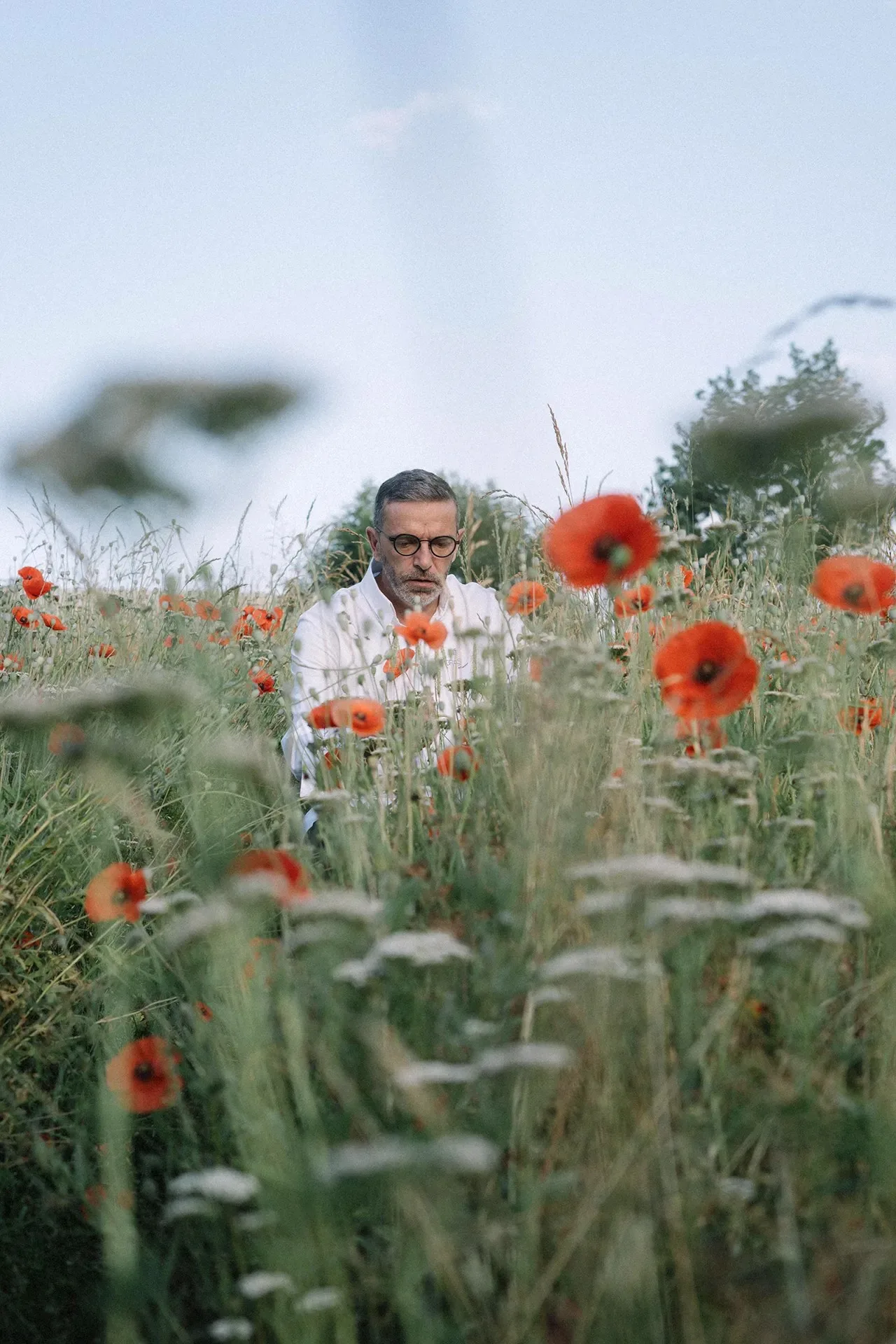 Michel Bras — photo 20