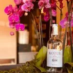 Kandoo Nippon Restaurant — photo 13
