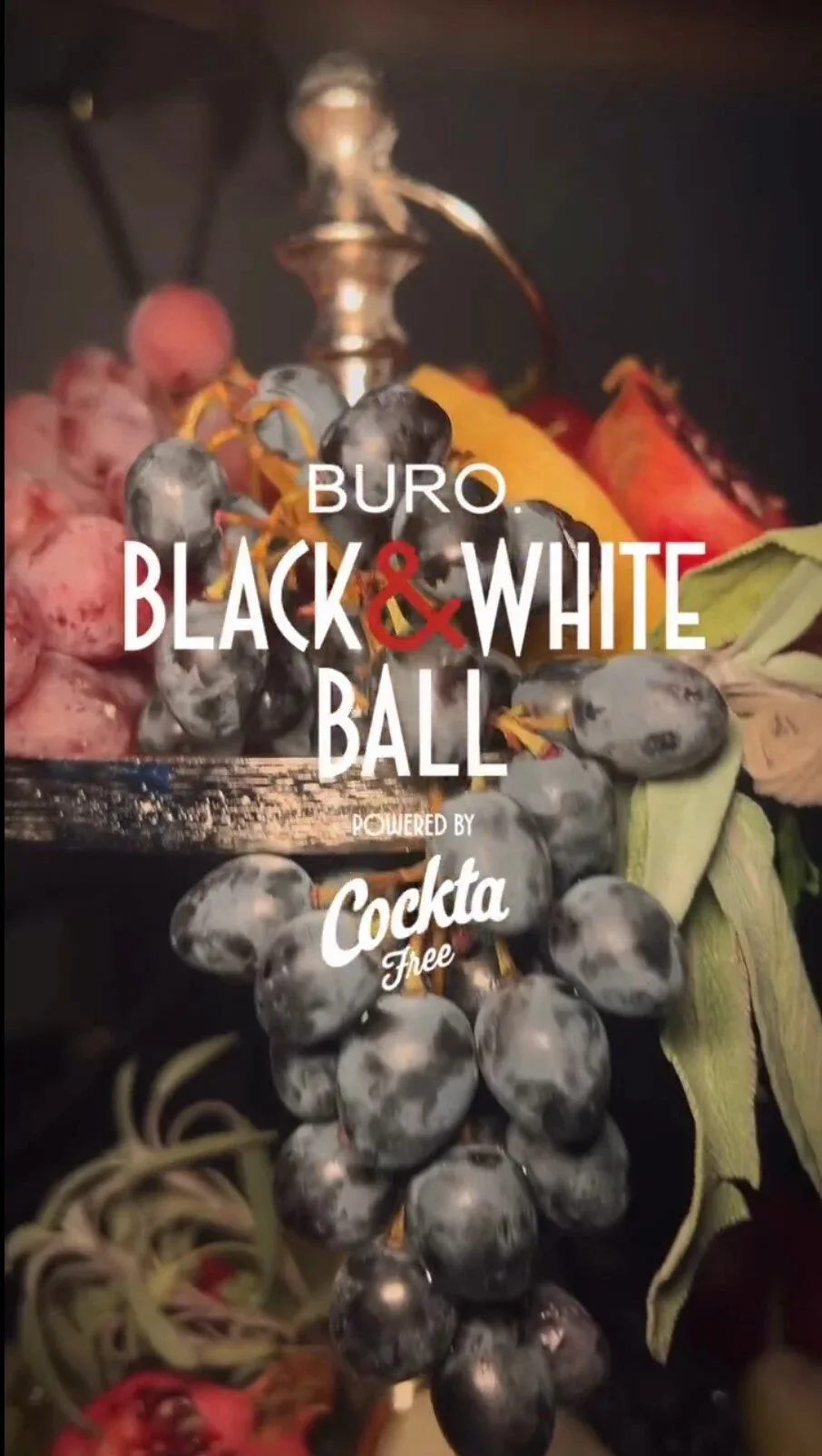 PUTER FINE BISTRO — photo 89