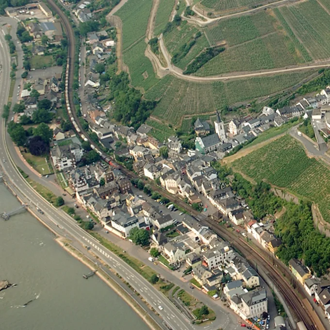 Restaurant zum Anker — photo 25
