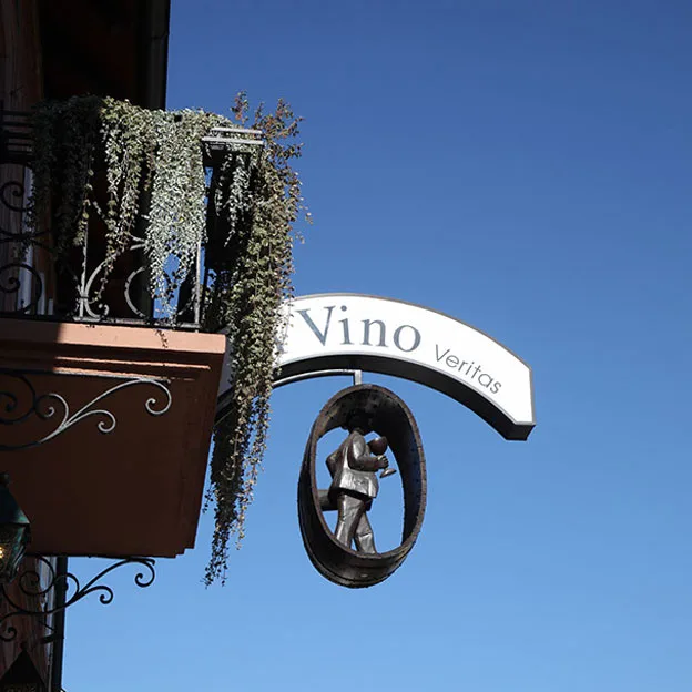 In Vino Veritas — photo 14