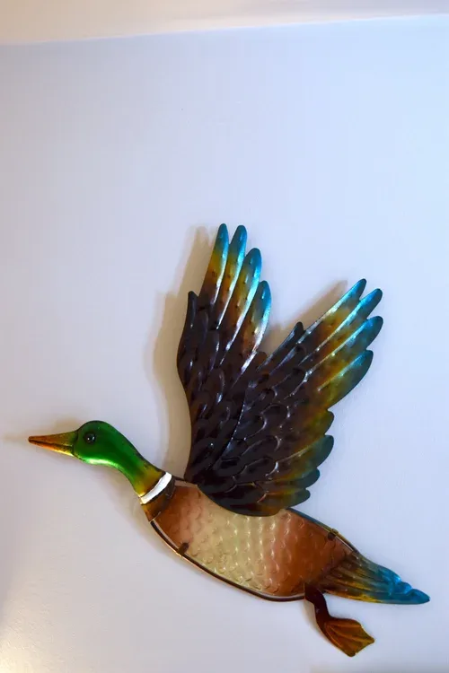 Fuzzy Duck — photo 7