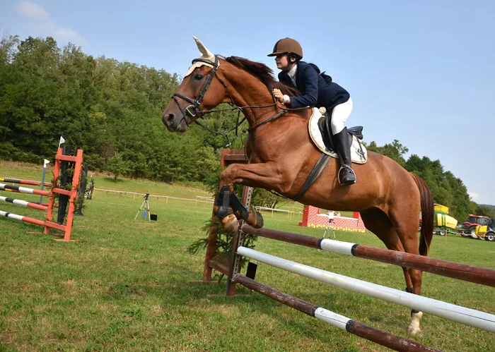 La Licorne Royale — photo 17