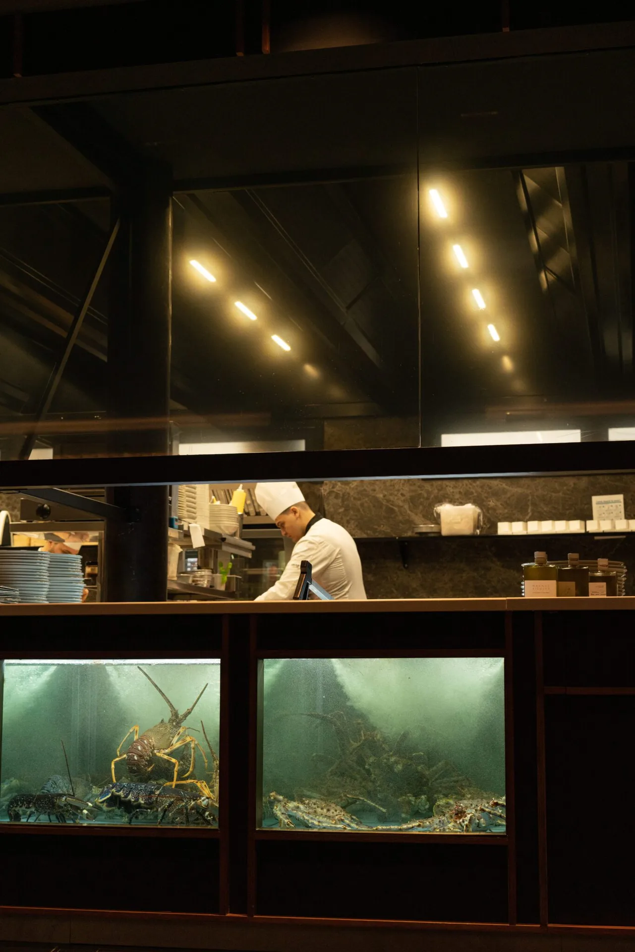 Rear Restaurant — photo 22