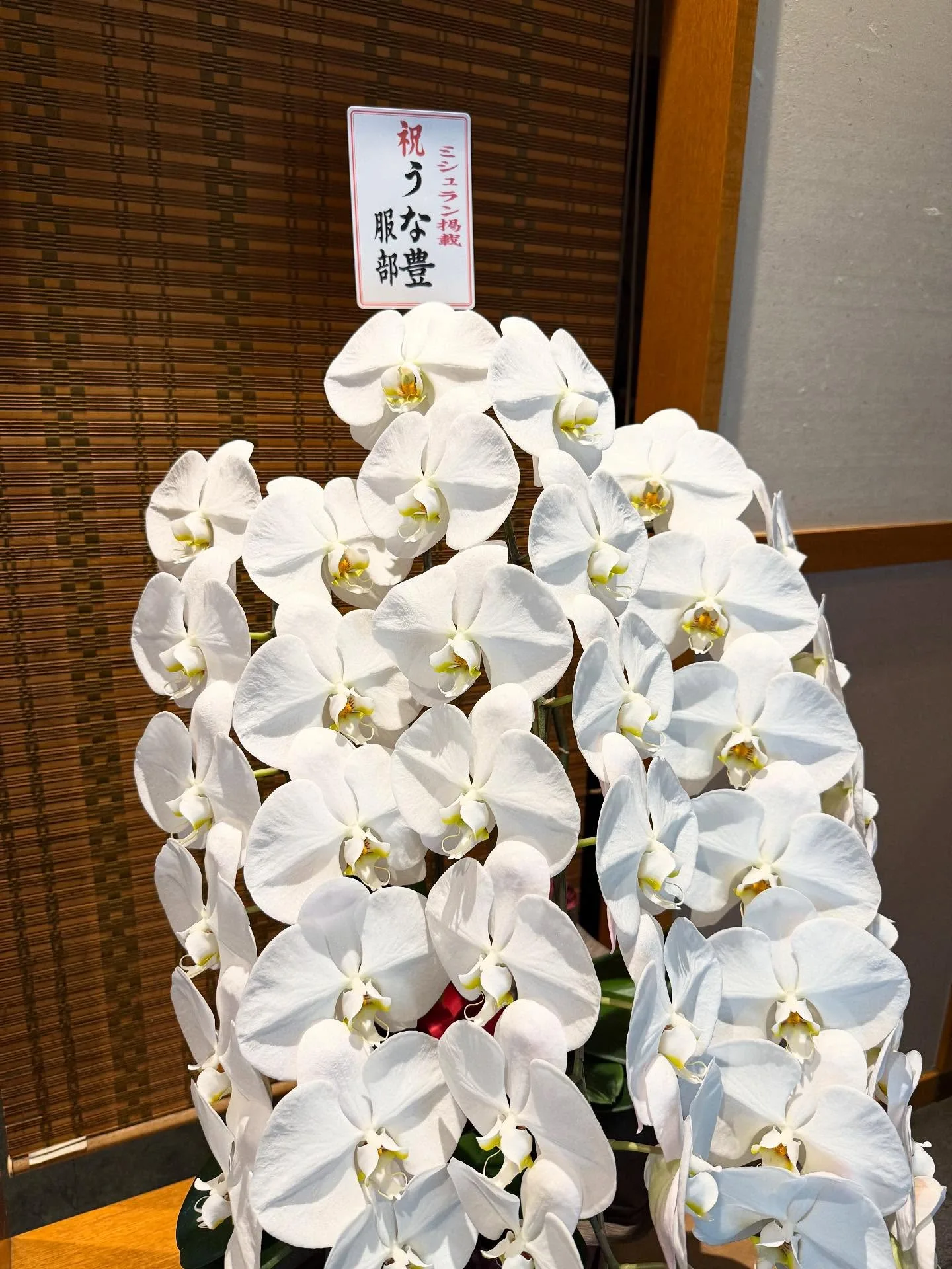 Watabe — photo 4
