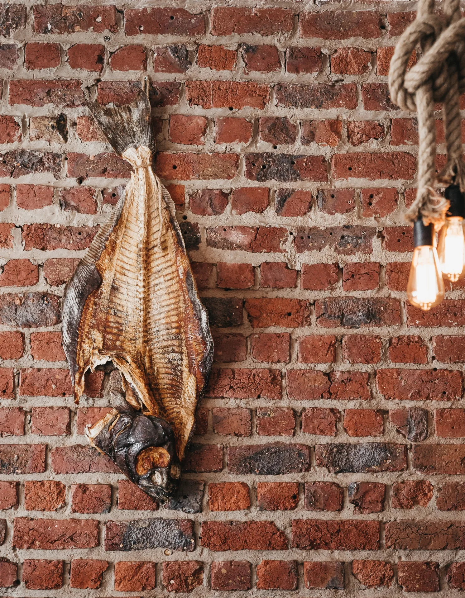 Coquum — food