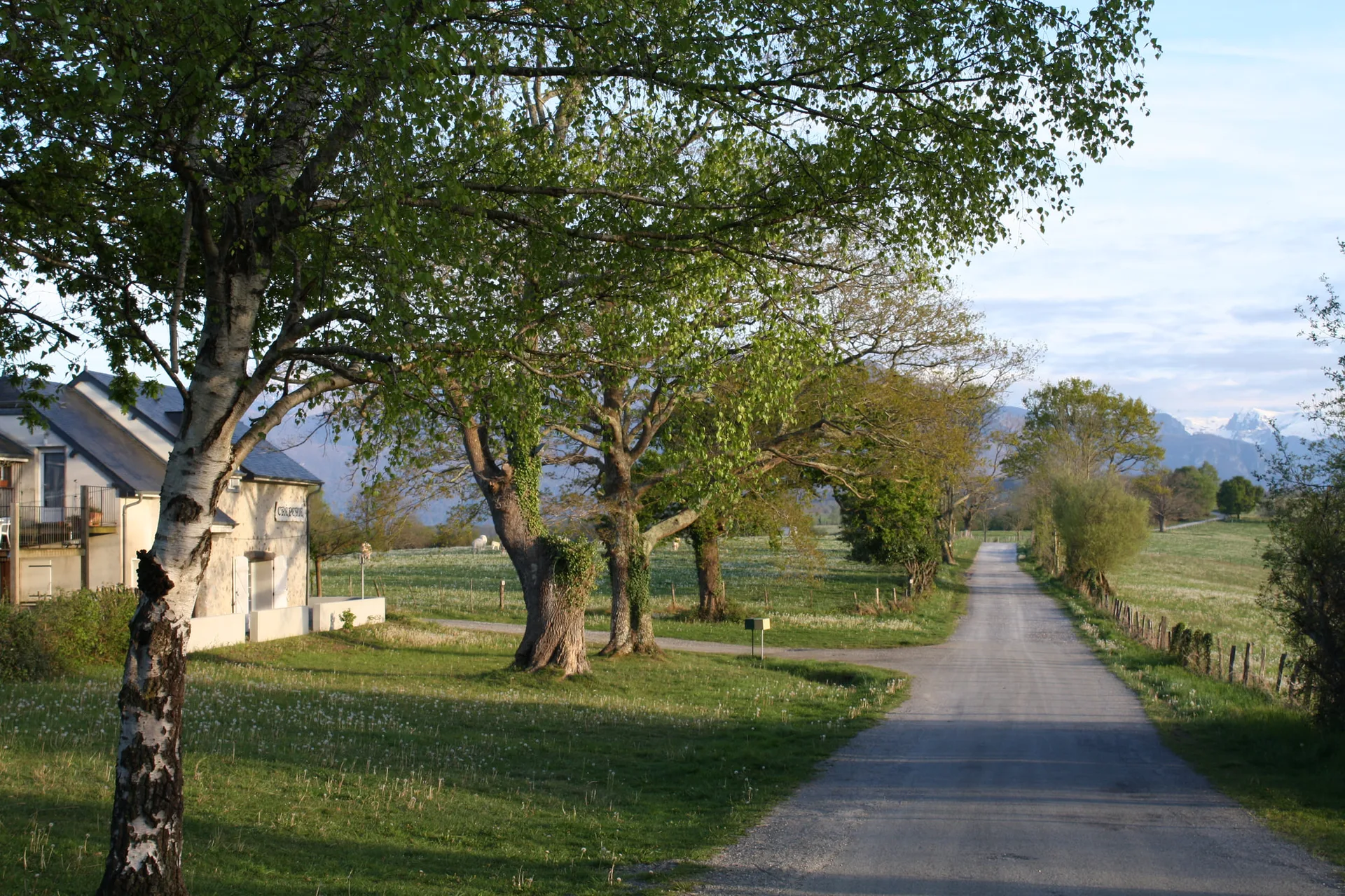 L’étable d'Ossau — photo 16
