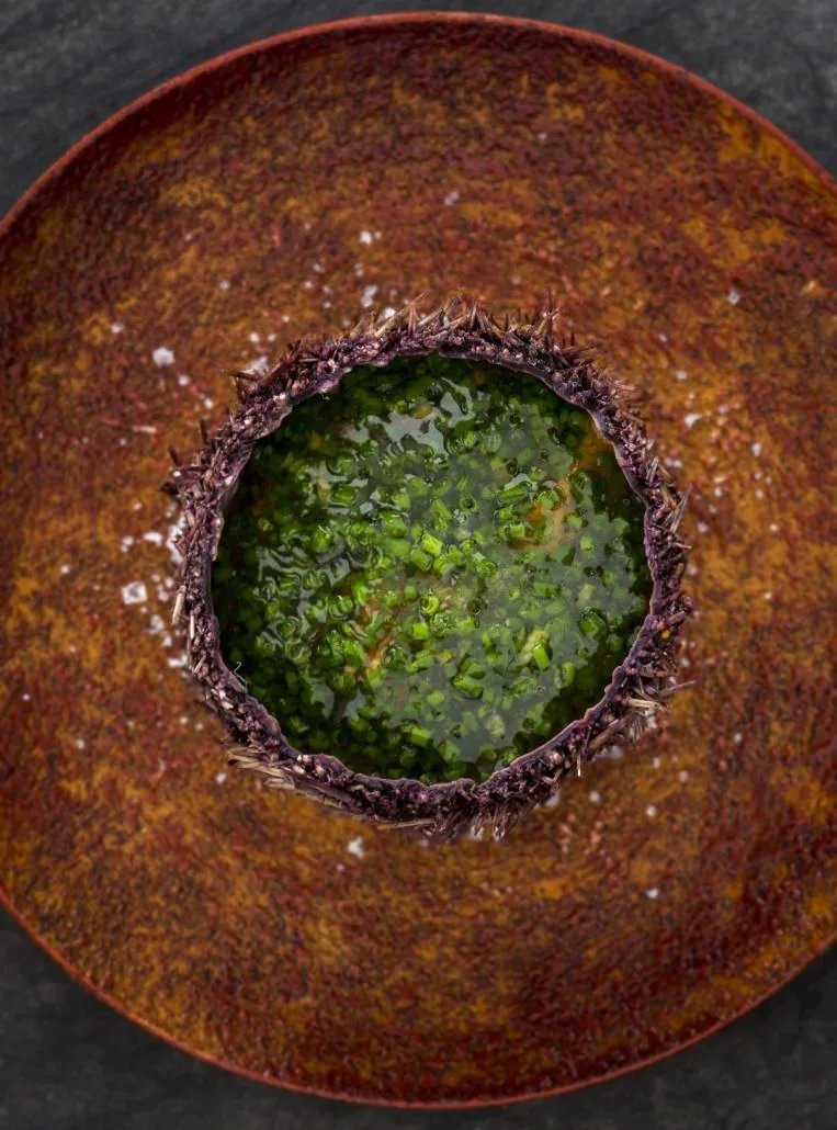 Restaurant Sola — photo 89
