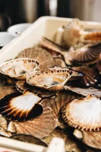 Aux Pesked — food