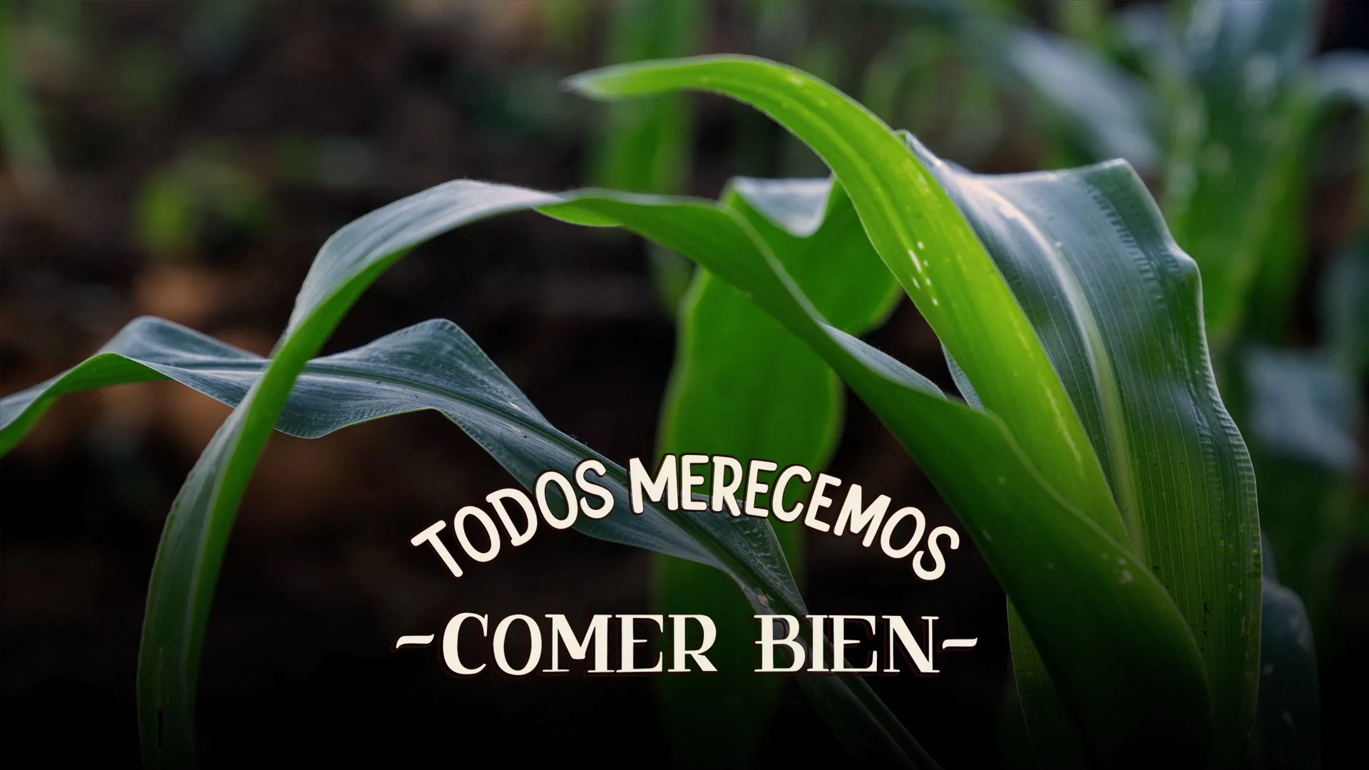 Tierra del Sol — photo 13