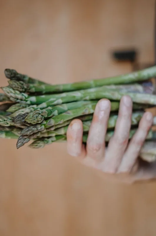 Apollonia — food
