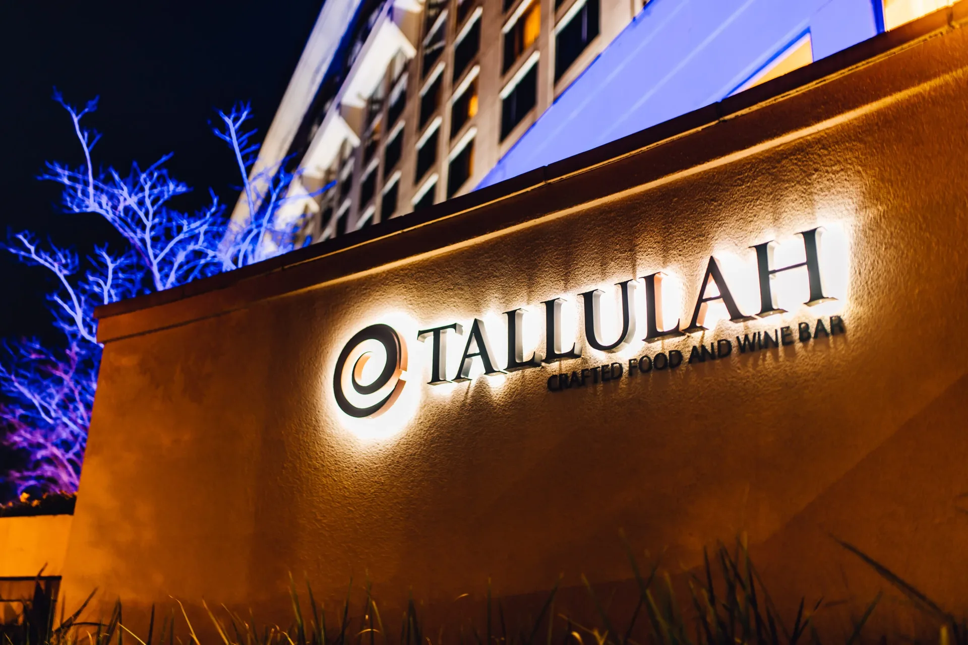 Tallulah Crafted Food and Wine Bar — photo 30