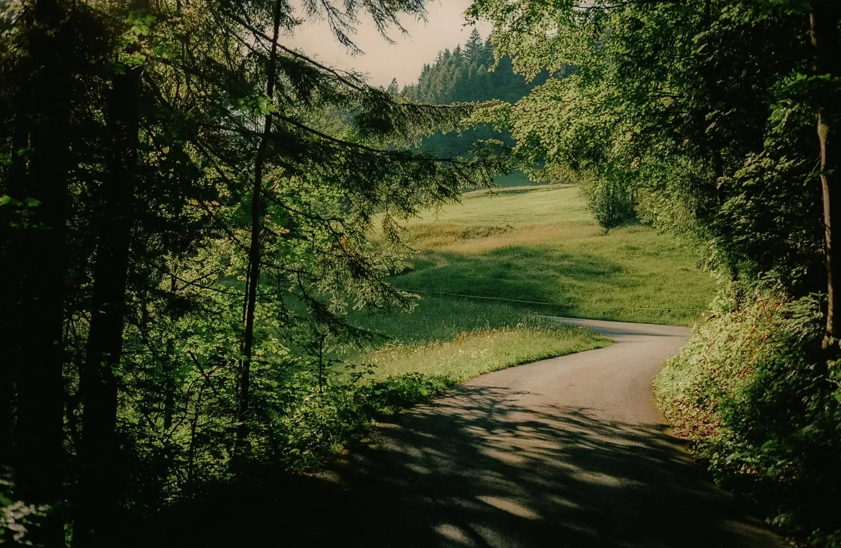 Hirschen — photo 32