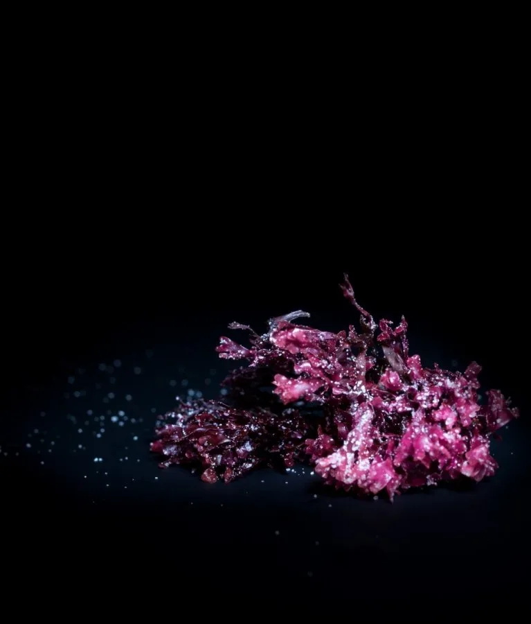 Bij Teus — food