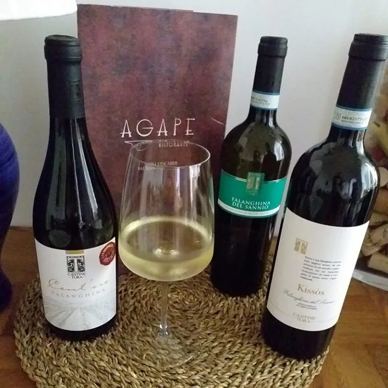 Agape — photo 62