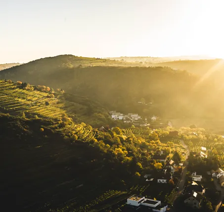 Weingut Nigl — photo 34