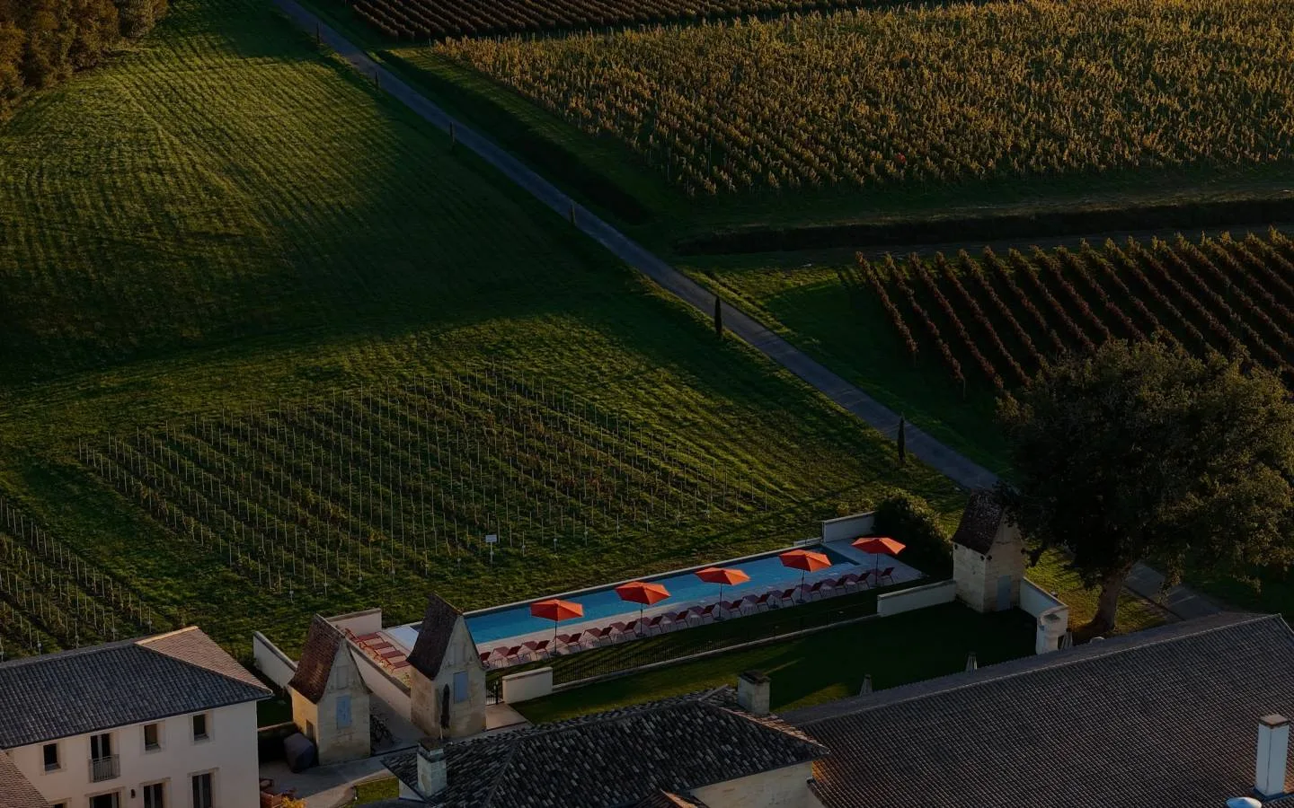 Château Fage - La Maison des Vignes — photo 9