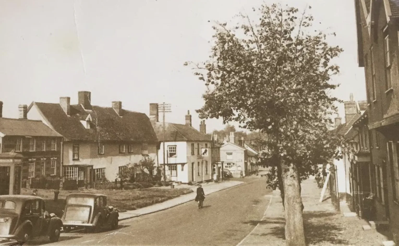 The Debenham Lion — photo 8