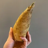 HYÈNE — food