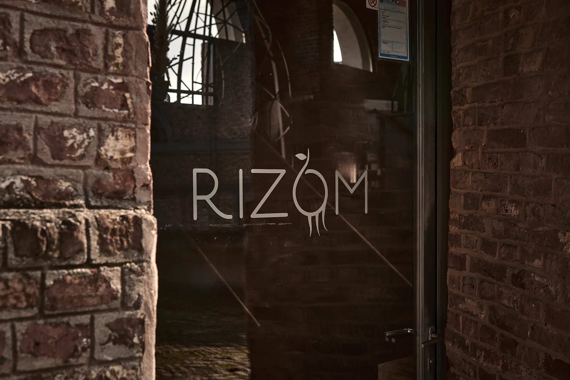 Rizom — photo 25